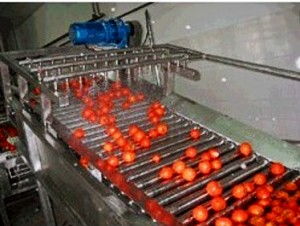 果蔬清洗機(jī)與果蔬烘干機(jī) 現(xiàn)代廚房的健康守護(hù)神