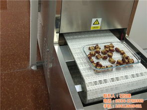 千弘微波STJ型蔬菜烘干脫水機(jī) 優(yōu)質(zhì)商家推薦的果蔬烘干解決方案